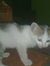 Leonard...
