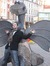 Araz