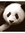 Yovano N. (opan) | 155 comments