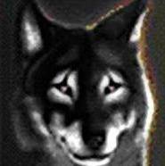 Michael Müller-Hewer