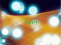 Gavin Salim