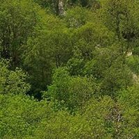 العالم الغربي