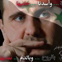 Mahmoud Mahmoud