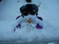 timothy allen miller