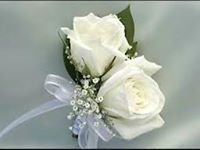 الوردة البيضاء