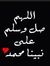 Hamzeh ...