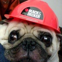 Michael Stoddard Sr.