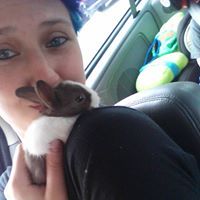 Catherine Moore-Niper