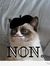 Ciao Weena