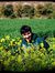 Shubham...
