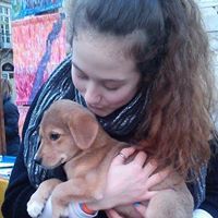 Jessie Shkalla