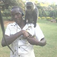 Thuo Alex