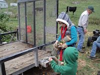 Jacqueline Vandevander