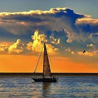 Dawn Cluster-Brashear