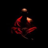 Andreia Lopes Da Costa