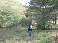 Himanshu Chauhan