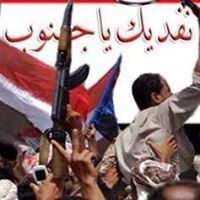 أنور الدهمي