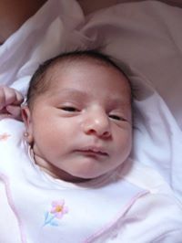 Karim Mounir
