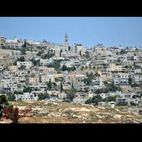 صورباهر نيوز