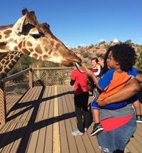 Olivia-Elyse L. Thompson