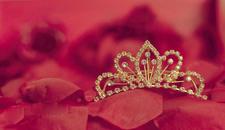 سارة رجب" صُمود سآلينا