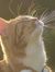 Cat Dunn