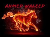 Ahmed Waleed