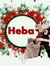 Heba Nabil