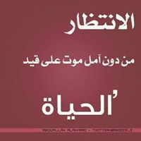 محمد الحكمي