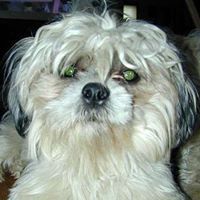 Nancy Robilotta Bennett