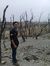 Andry W...