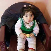 عماد الحسيني