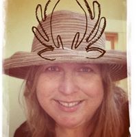 Lynnette Coster Scolari