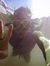Guwenbo