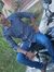 Vinay V...