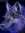 Fauxydog | 3 comments