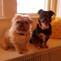 Jessica and Jim Cvelbar