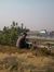 Subrata...