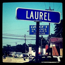 Laurel