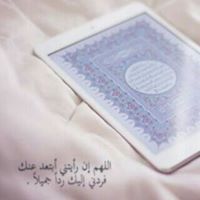 سلطان الشيخي