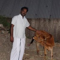 Manikandan Kulandaivelu