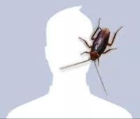 Darling Concarintonight