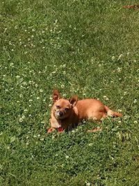 Donna Johnson-Roberts