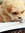 Bunny Cavanagh (bunnycavanagh) | 3 comments