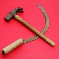 ريتا كنفاني