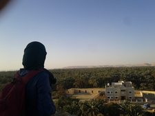 جيهان المغازي