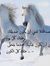 Mostafa...