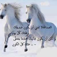 Mostafa Mohamed