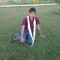Hasib Arya