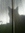 Carol Stankey (carolanne62) | 16 comments